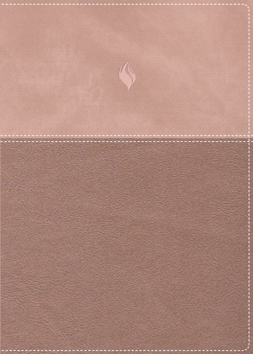 Cover image for Rvr60, Biblia de Estudio de la Vida Plena, Edición Clásica, Leathersoft DOS Tonos Oro Rosa, Palabras de Jesús En Rojo, Comfort Print, isbn: 9780829773583