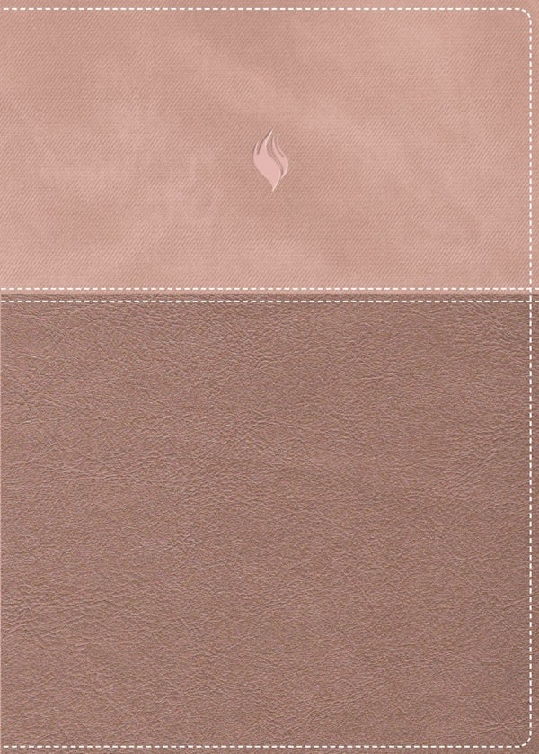 Cover image for Rvr60, Biblia de Estudio de la Vida Plena, Edici�n Cl�sica, Leathersoft DOS Tonos Oro Rosa, Palabras de Jes�s En Rojo, Comfort Print, isbn: 9780829773583