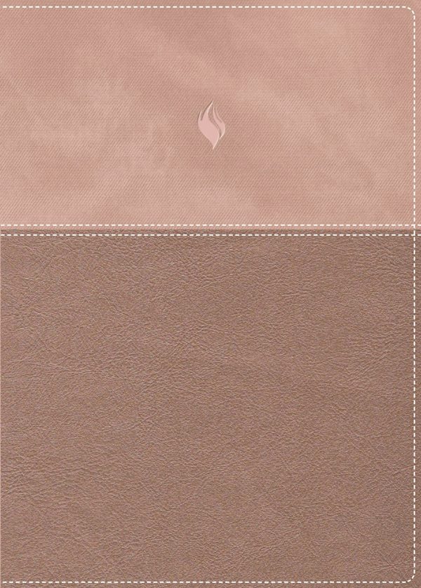 Cover image for Rvr60, Biblia de Estudio de la Vida Plena, Edici�n Cl�sica, Leathersoft DOS Tonos Oro Rosa, Palabras de Jes�s En Rojo, Comfort Print, isbn: 9780829773583