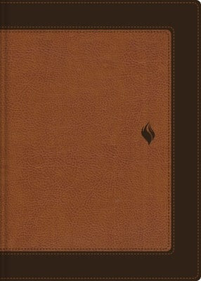 Cover image for Rvr60, Biblia de Estudio de la Vida Plena, Edición Clásica, Leathersoft DOS Tonos Café, Palabras de Jesús En Rojo, Comfort Print, isbn: 9780829773590