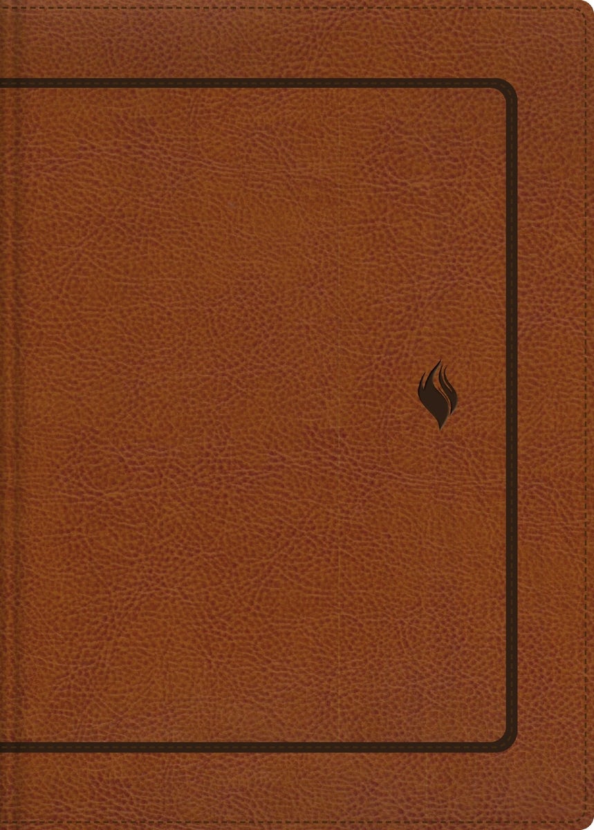 Cover image for Rvr60, Biblia de Estudio de la Vida Plena, Edición Clásica, Leathersoft DOS Tonos Café, Palabras de Jesús En Rojo, Comfort Print, isbn: 9780829773590