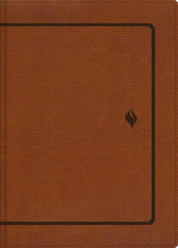Cover image for Rvr60, Biblia de Estudio de la Vida Plena, Edici�n Cl�sica, Leathersoft DOS Tonos Caf�, Palabras de Jes�s En Rojo, Comfort Print, isbn: 9780829773590