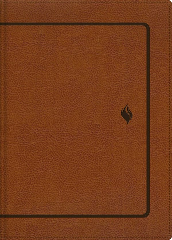 Cover image for Rvr60, Biblia de Estudio de la Vida Plena, Edici�n Cl�sica, Leathersoft DOS Tonos Caf�, Palabras de Jes�s En Rojo, Comfort Print, isbn: 9780829773590