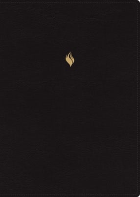 Cover image for Rvr60, Biblia de Estudio de la Vida Plena, Edición Clásica, Leathersoft, Negro, Palabras de Jesús En Rojo, Comfort Print, Con Índice Y Cierre, isbn: 9780829774023