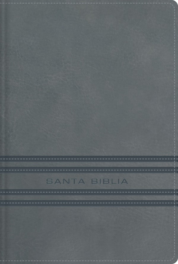 Cover image for Nbla, Santa Biblia, Edici�n Versificada, Tama�o Bolsillo, Leathersoft, Gris, Palabras de Jes�s En Rojo, Comfort Print, isbn: 9780829774344