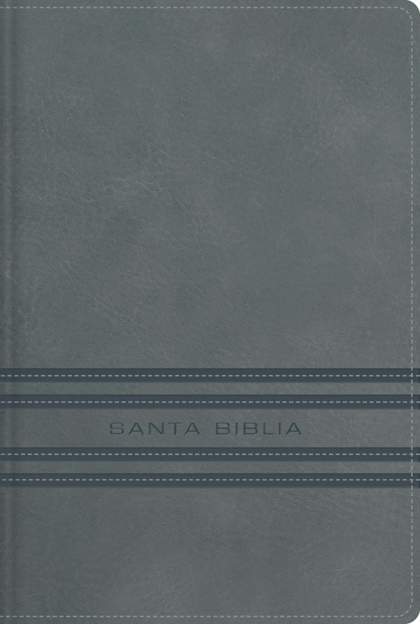 Cover image for Nbla, Santa Biblia, Edici�n Versificada, Tama�o Bolsillo, Leathersoft, Gris, Palabras de Jes�s En Rojo, Comfort Print, isbn: 9780829774344