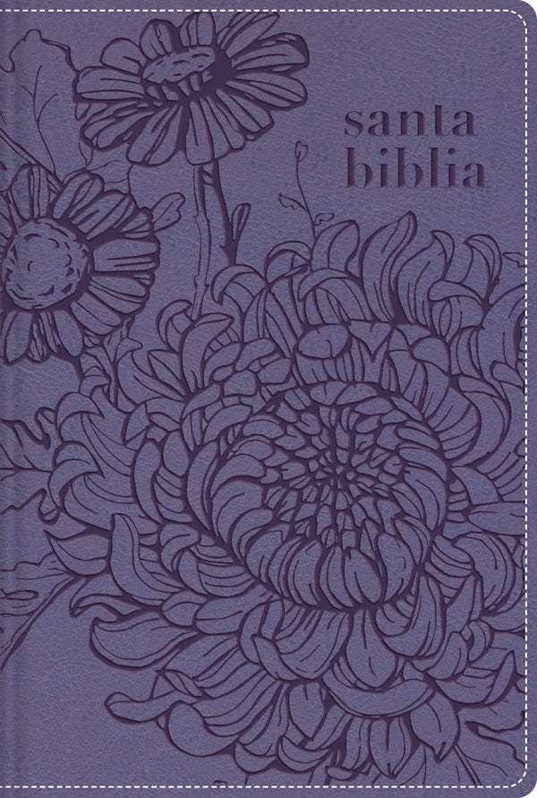 Cover image for Nbla, Santa Biblia, Edici�n Versificada, Tama�o Bolsillo, Leathersoft, Morado, Con Cierre, Palabras de Jes�s En Rojo, Comfort Print, isbn: 9780829774351