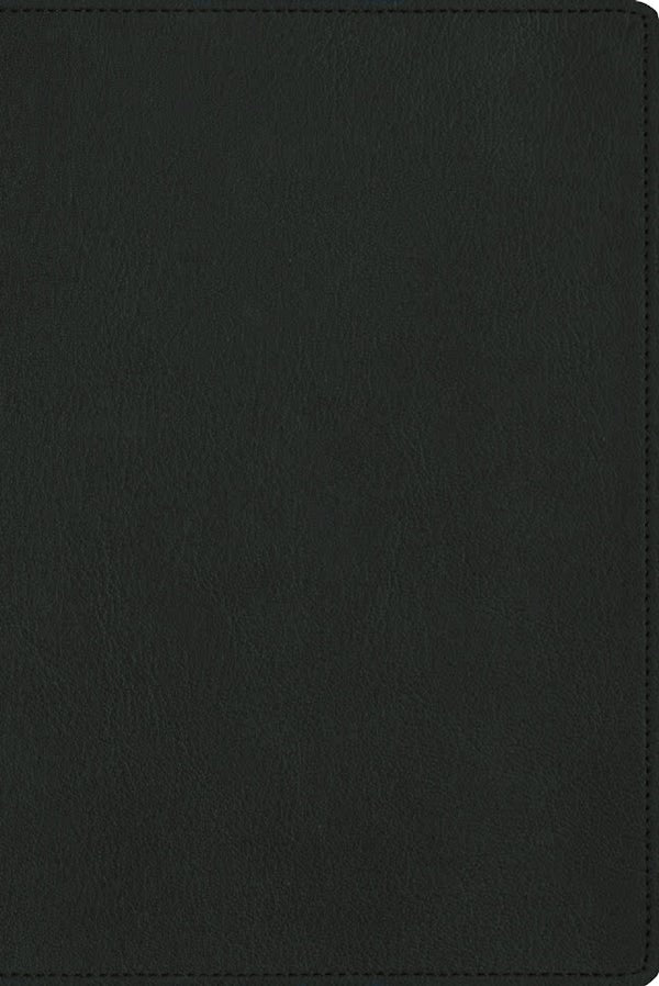 Cover image for Nbla, Biblia Para La Lectura P�blica, Versificada, Letra Gigante, Piel de Cabra, Verde, isbn: 9780829774740