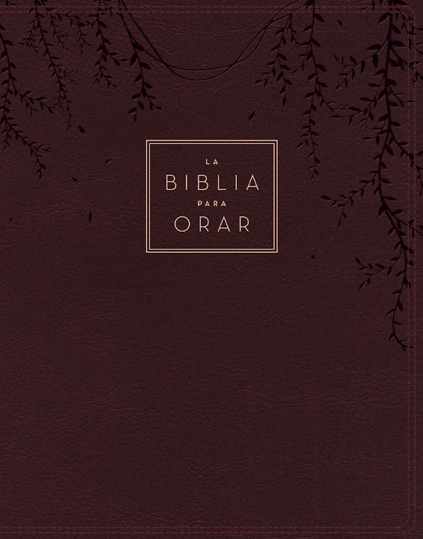 Cover image for Rvr60, La Biblia Para Orar, Leathersoft, Rojo Vino, Palabras de Jes�s En Rojo, Comfort Print, isbn: 9780829775976