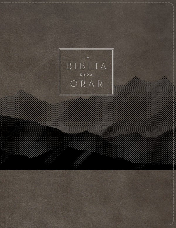 Cover image for Rvr60, La Biblia Para Orar, Leathersoft, Gris, Palabras de Jes�s En Rojo, Comfort Print, isbn: 9780829775983