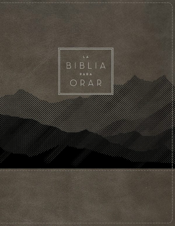 Cover image for Rvr60, La Biblia Para Orar, Leathersoft, Gris, Palabras de Jes�s En Rojo, Comfort Print, isbn: 9780829775983