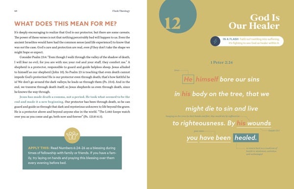 Cover image for Flash Theology, isbn: 9780830784745