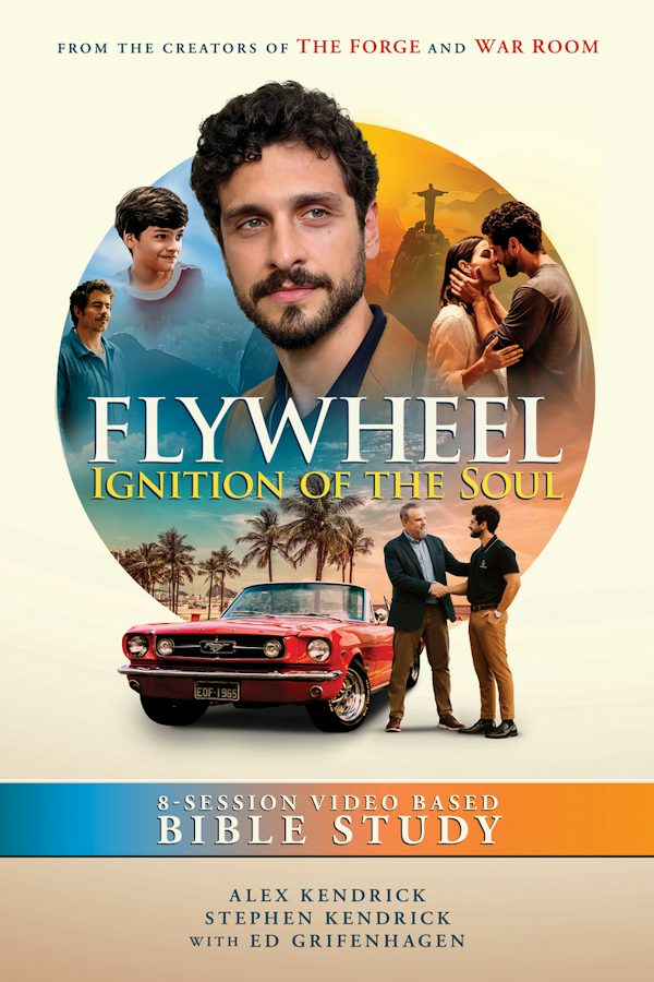 Cover image for Flywheel, isbn: 9780830792900