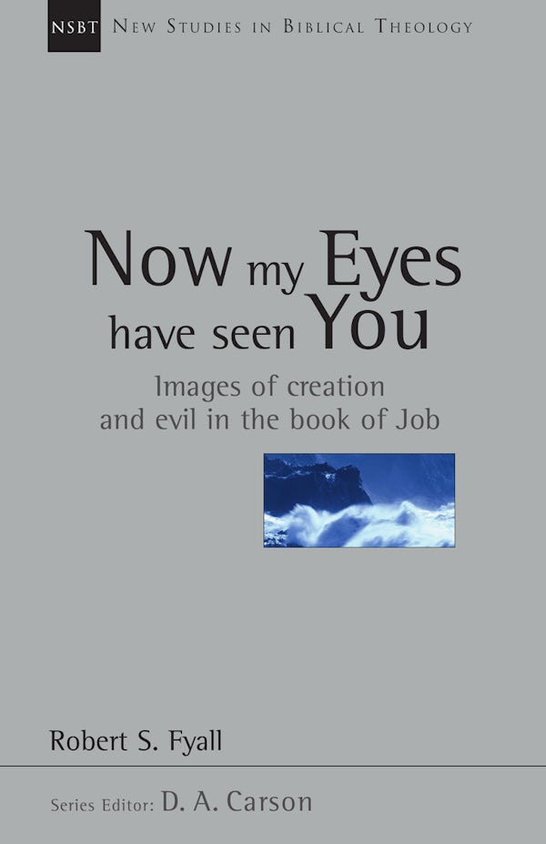 Cover image for Now My Eyes Have Seen You, isbn: 9780830826124