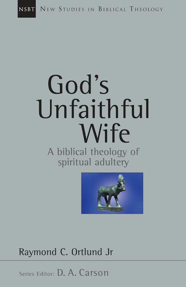 Cover image for God's Unfaithful Wife, isbn: 9780830826148