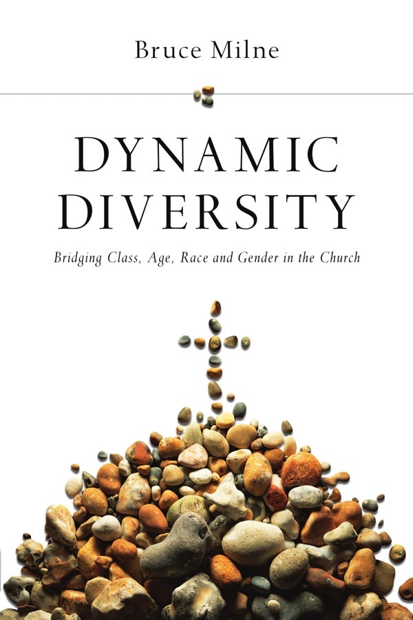 Cover image for Dynamic Diversity, isbn: 9780830828067