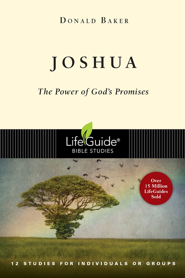 Cover image for Joshua, isbn: 9780830830244