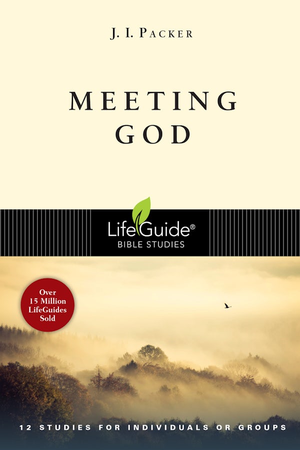 Cover image for Meeting God, isbn: 9780830830572