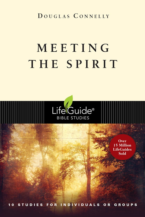 Cover image for Meeting the Spirit, isbn: 9780830830688
