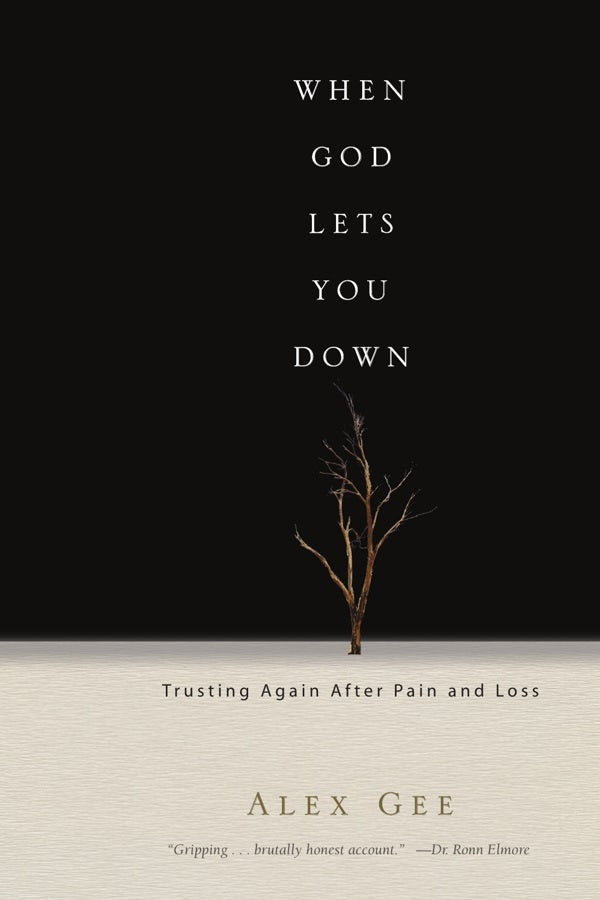 Cover image for When God Lets You Down, isbn: 9780830833979