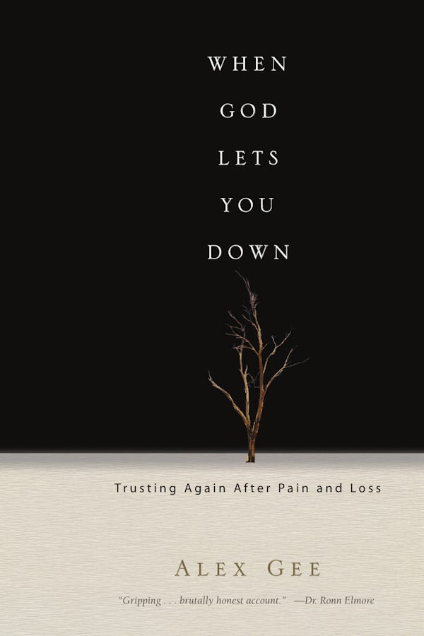 Cover image for When God Lets You Down, isbn: 9780830833979