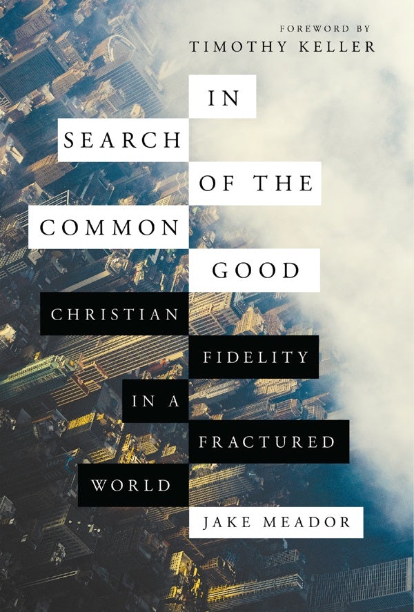 Cover image for In Search of the Common Good, isbn: 9780830845545