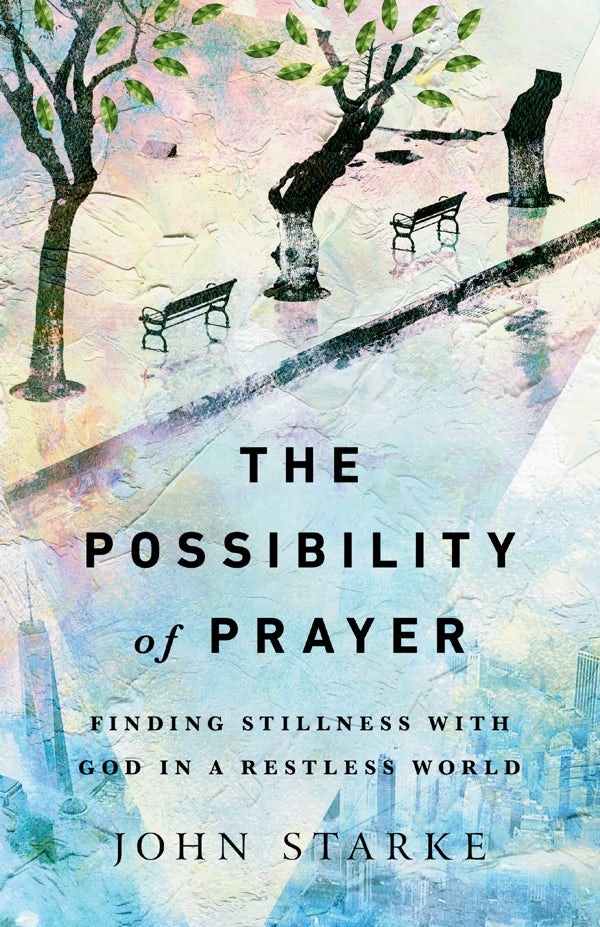 Cover image for The Possibility of Prayer, isbn: 9780830845798