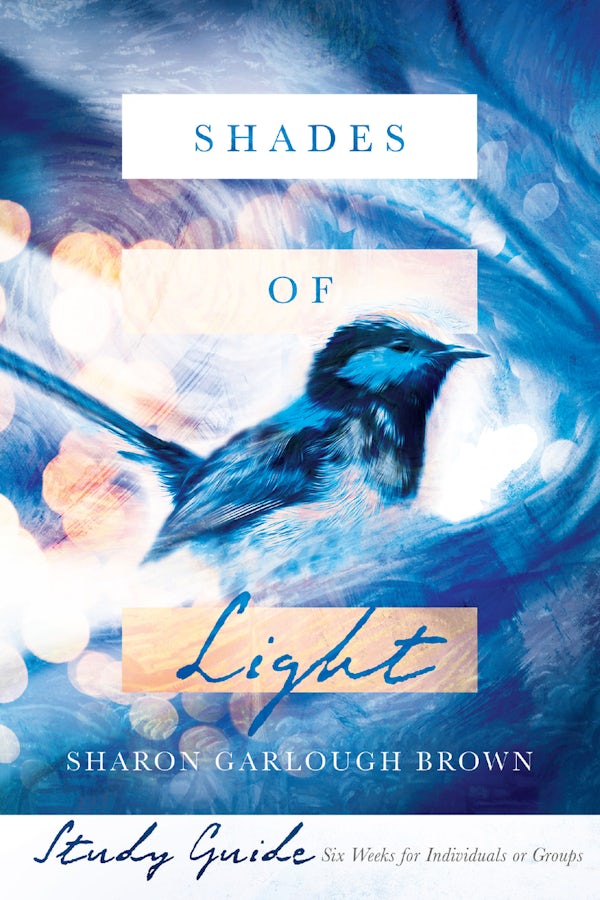 Cover image for Shades of Light Study Guide, isbn: 9780830846641