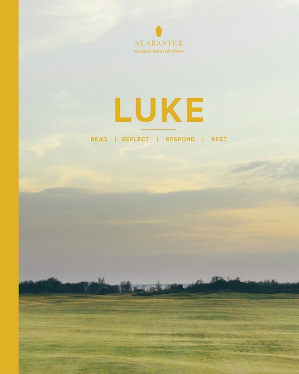 Cover image for Luke, isbn: 9780830847259