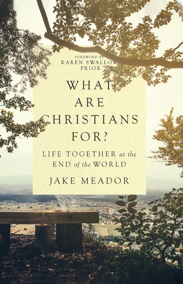 Cover image for What Are Christians For?, isbn: 9780830847365