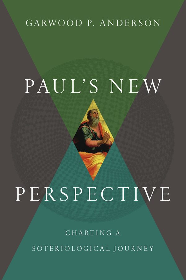 Cover image for Paul's New Perspective, isbn: 9780830851546