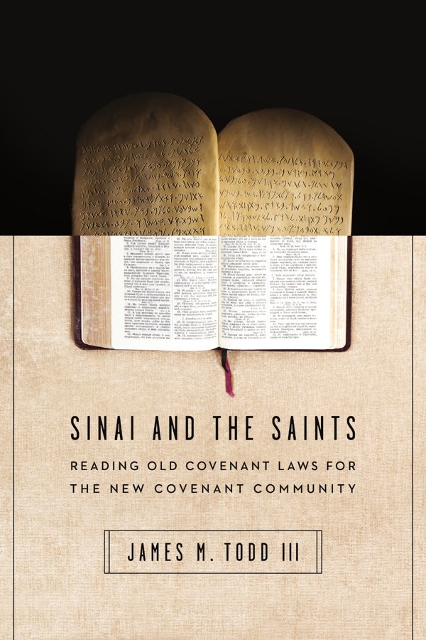Cover image for Sinai and the Saints, isbn: 9780830851621