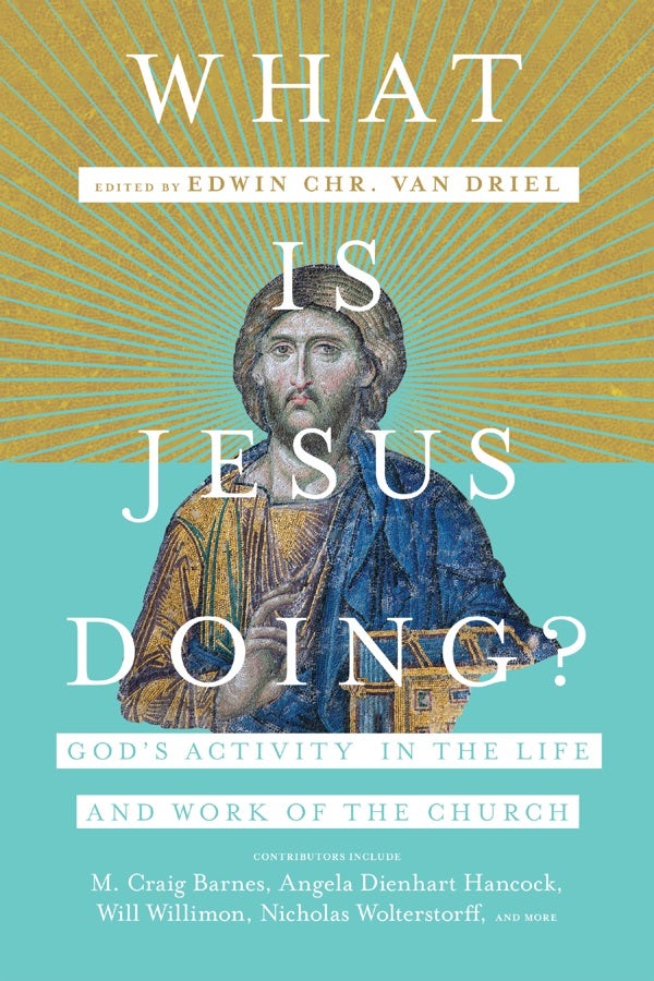 Cover image for What Is Jesus Doing?, isbn: 9780830852604