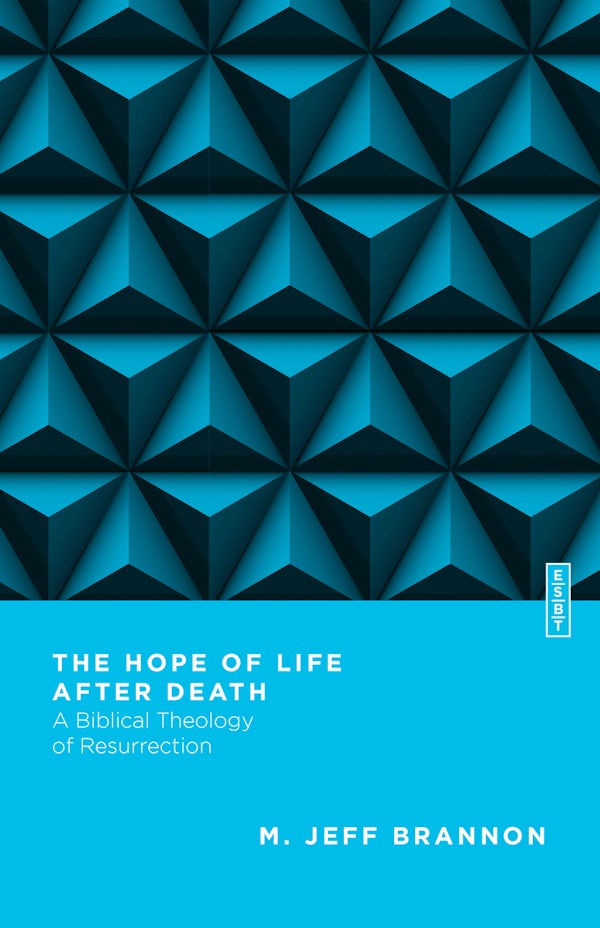 Cover image for The Hope of Life After Death, isbn: 9780830855315