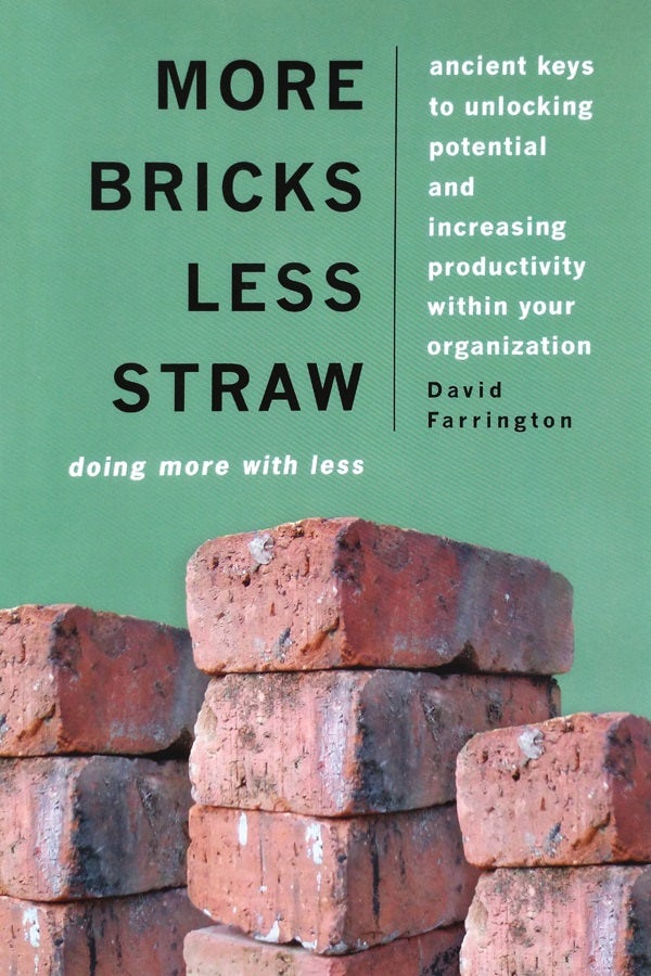 Cover image for More Bricks Less Straw, isbn: 9780830857081