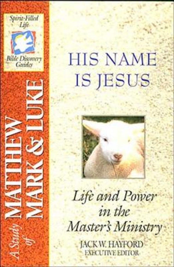 Cover image for The Spirit-Filled Life Bible Discovery Series, isbn: 9780840720900