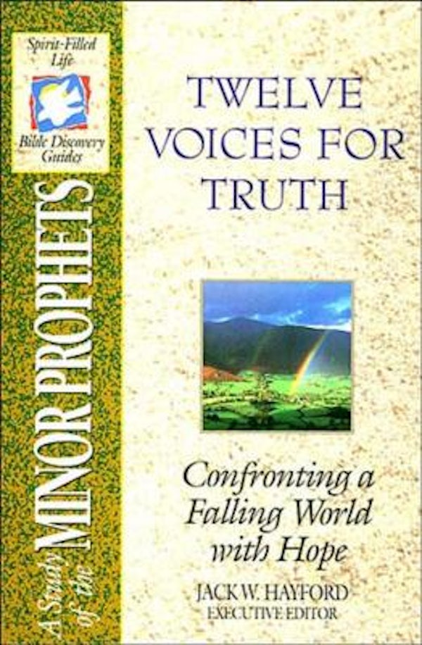 Cover image for The Spirit-Filled Life Bible Discovery Series, isbn: 9780840720931