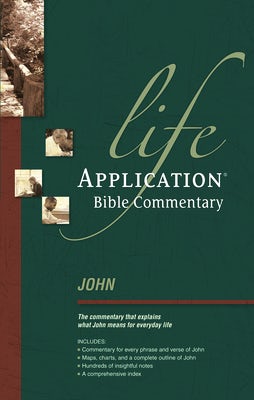 Cover image for John, isbn: 9780842328937