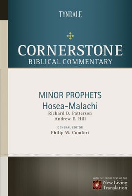 Cover image for Minor Prophets: Hosea Through Malachi, isbn: 9780842334365