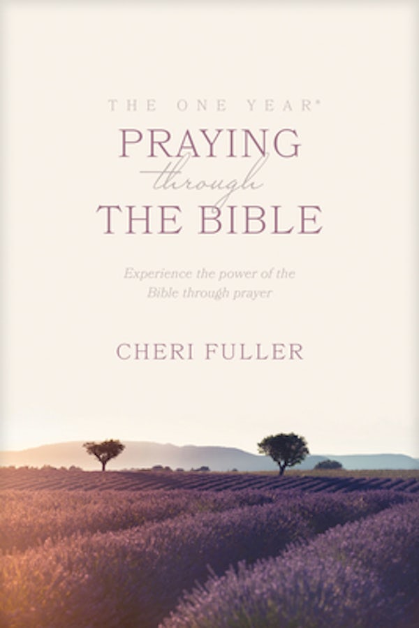 Cover image for The One Year Praying Through the Bible, isbn: 9780842361781