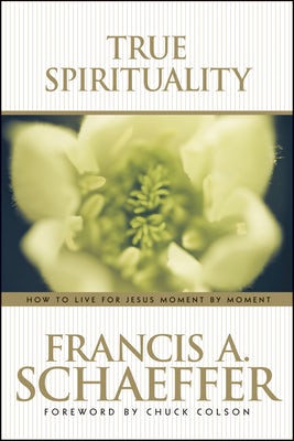 Cover image for True Spirituality, isbn: 9780842373517