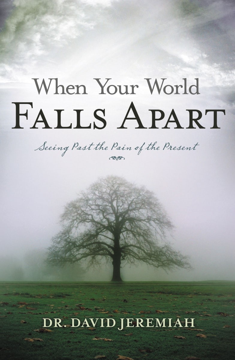 Cover image for When Your World Falls Apart, isbn: 9780849904363