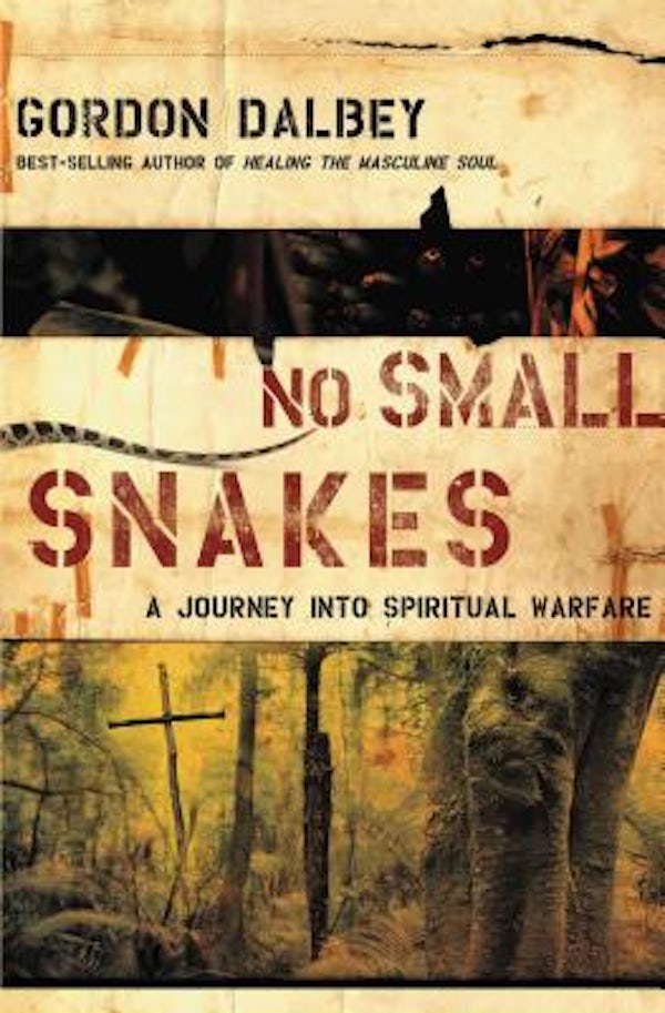 Cover image for The No Small Snakes, isbn: 9780849919848