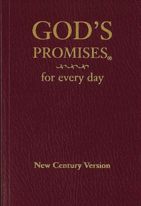 Cover image for God's Promises for Every Day, isbn: 9780849962684
