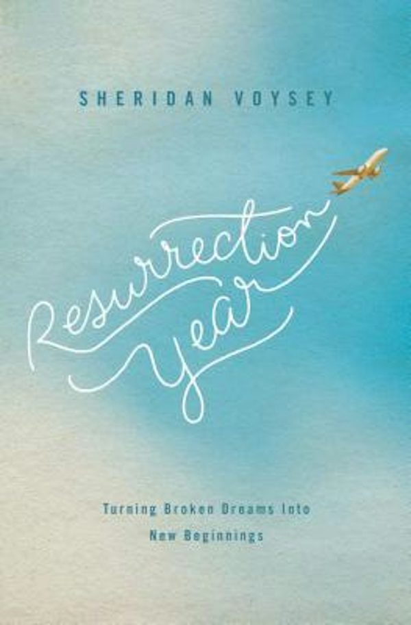 Cover image for The Resurrection Year, isbn: 9780849964800