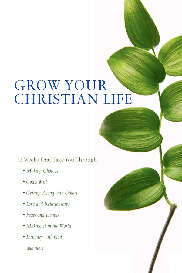 Cover image for Scripture Twisting, isbn: 9780877846116