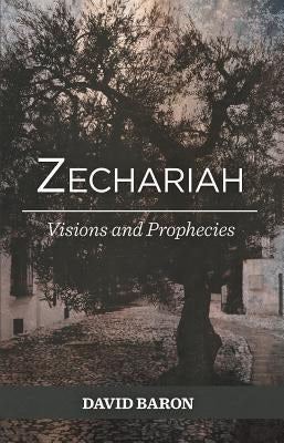 Cover image for Zechariah: Visions and Prophets, isbn: 9780983969112