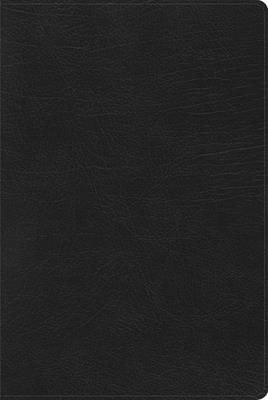 Cover image for Rvr 1960 Biblia de Estudio Arcoiris, Negro Símil Piel Con Índice, isbn: 9781087706030