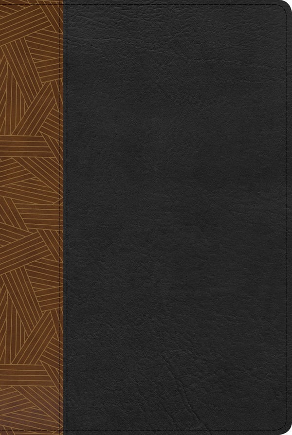 Cover image for Rvr 1960 Biblia de Estudio Arcoiris, Tostado/Negro S�mil Piel Con �ndice, isbn: 9781087706078