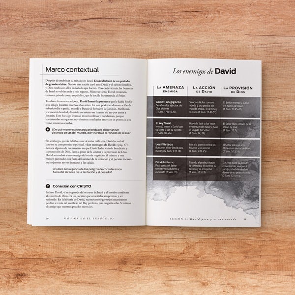 Cover image for Unidos En El Evangelio, Volumen 2, isbn: 9781087745329